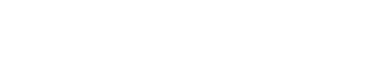 Big Logo Image